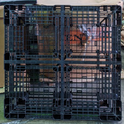 PXL_20210621_025238252-1