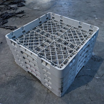 PXL_20240130_083718775-3